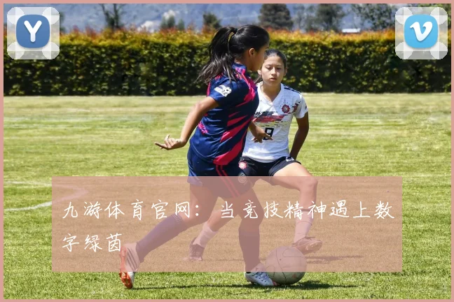 九游体育官网：当竞技精神遇上数字绿茵
